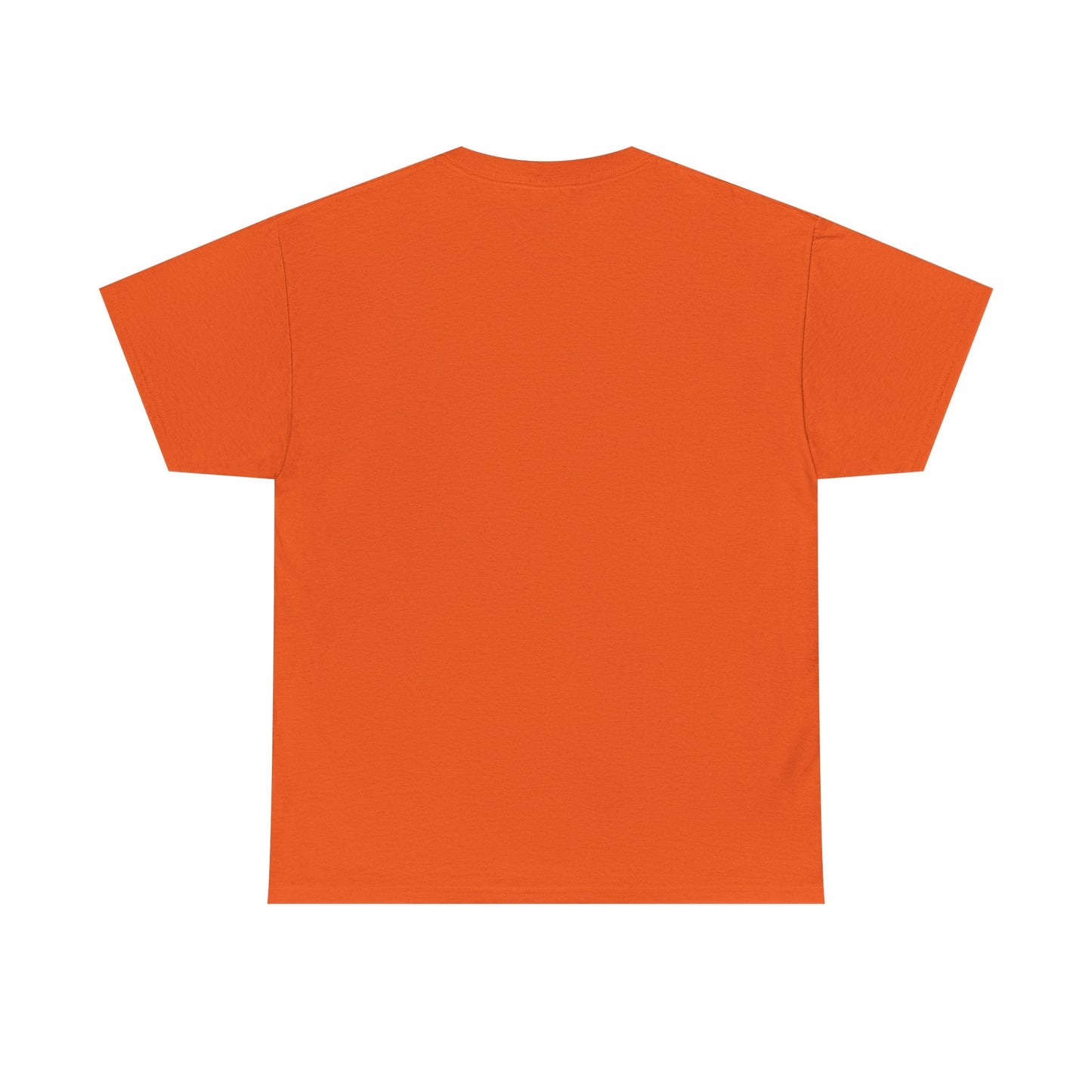 Jay - Z Roots Picnic 2026 Photo Tee - Lasercraft Design