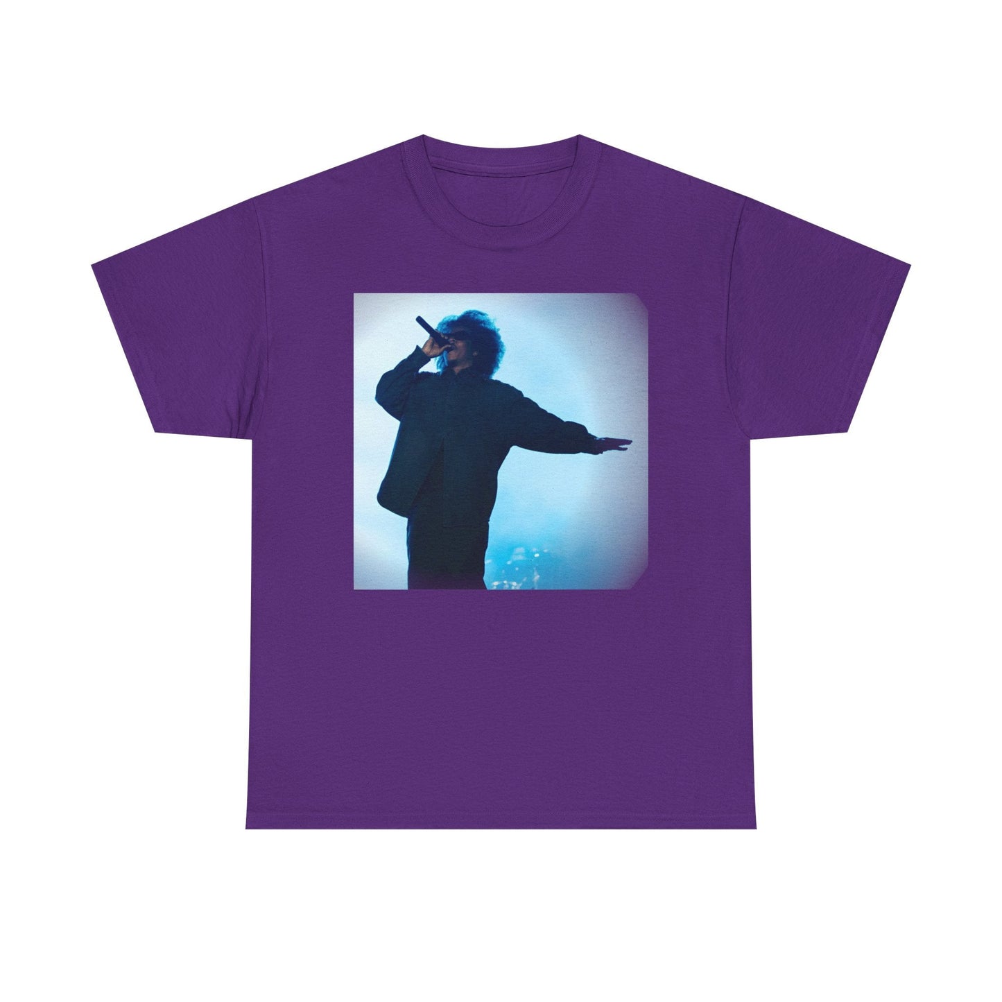 Jay - Z Roots Picnic 2026 Photo Tee - Lasercraft Design