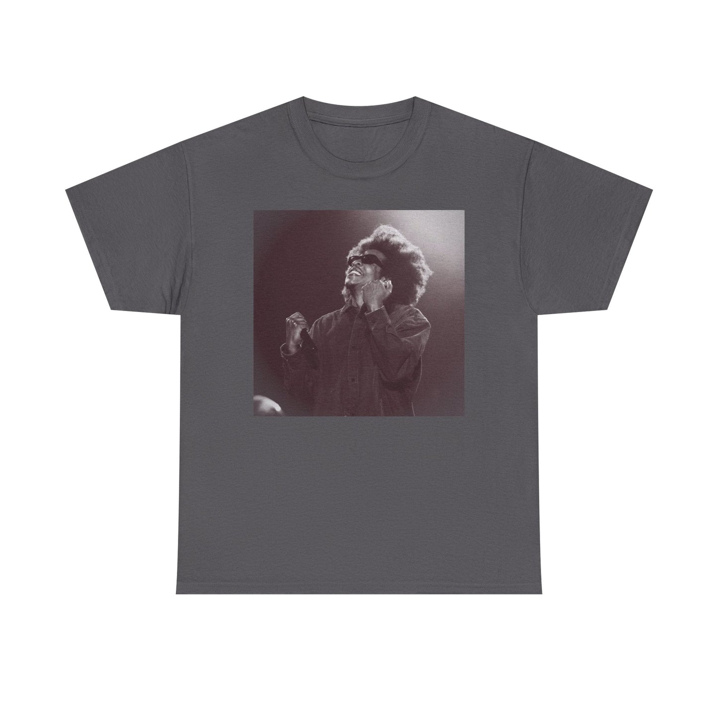 Jay - Z Roots Picnic 2026 Photo Tee - Lasercraft Design