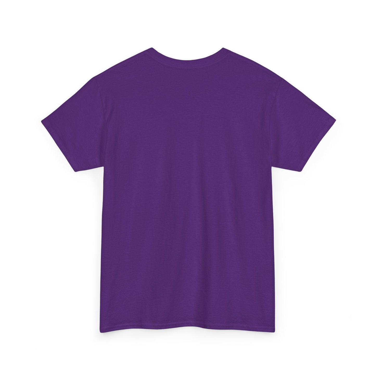 Jay - Z Roots Picnic 2026 Photo Tee - Lasercraft Design