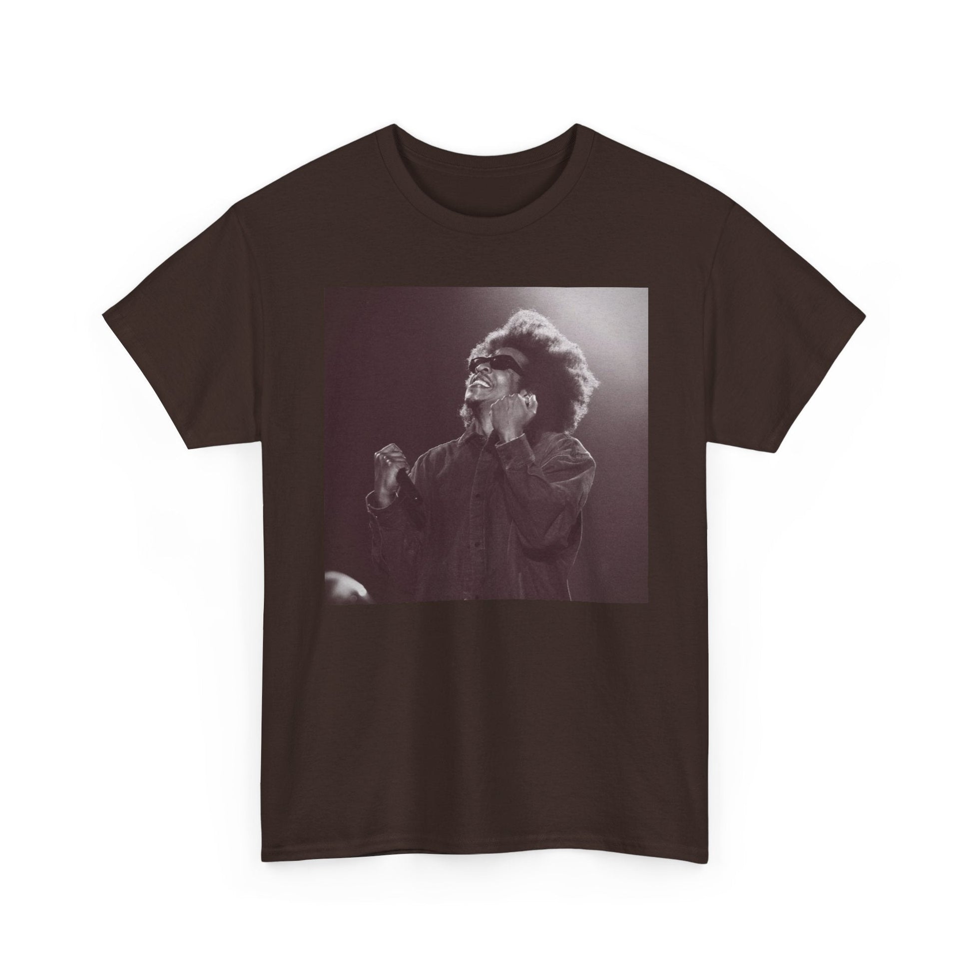 Jay - Z Roots Picnic 2026 Photo Tee - Lasercraft Design