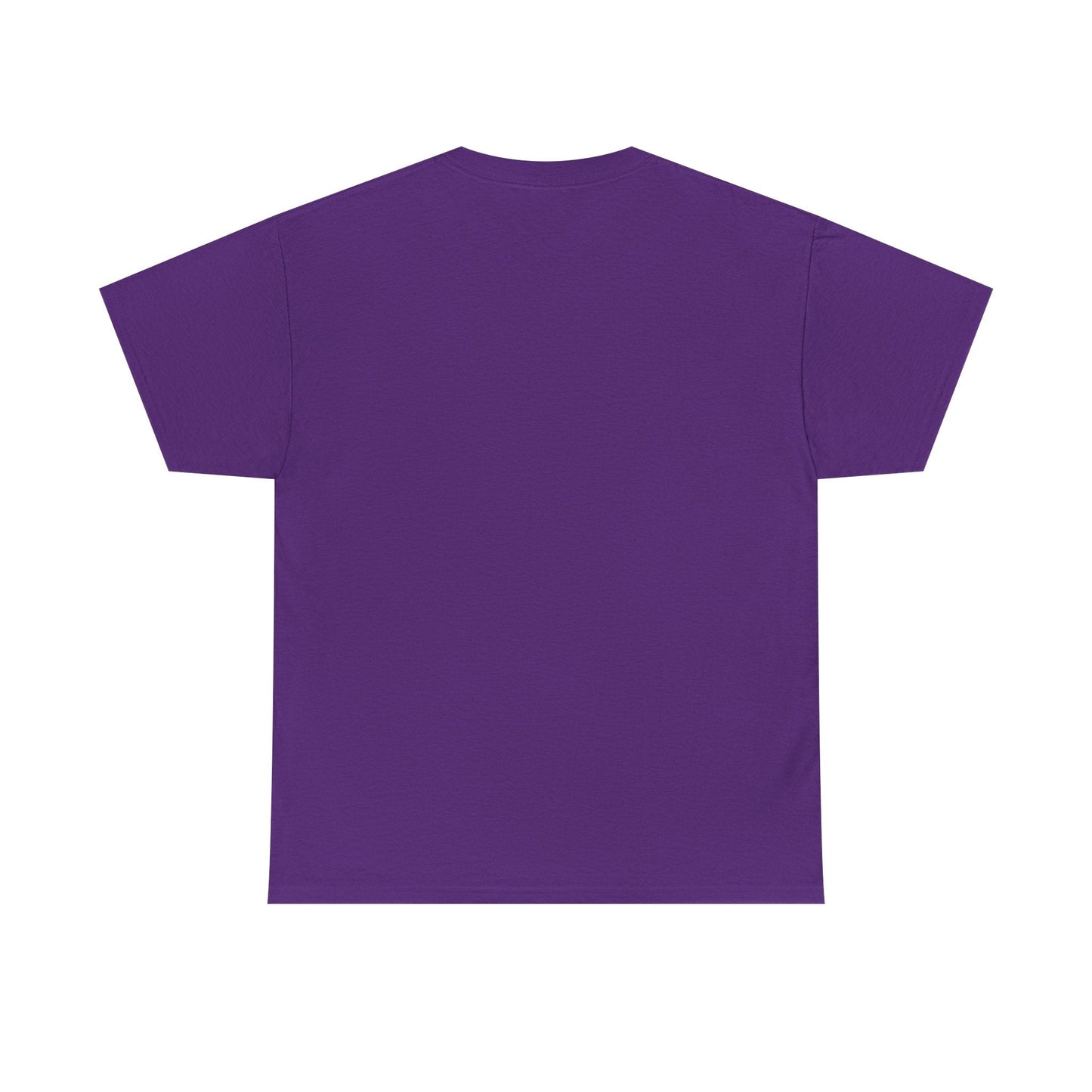 Jay - Z Roots Picnic 2026 Photo Tee - Lasercraft Design